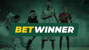 BetWinner Your Ultimate Destination for Online Sports Betting