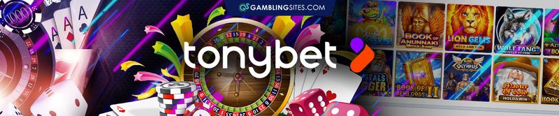 Navigating the Betting Options at TonyBet Casino