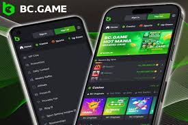 Experience the Thrill of Gambling at BC.Game Crypto Casino