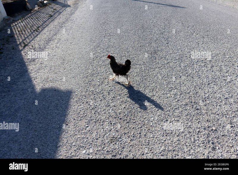 Descubre la Emoción de Chicken Road Casino en España in Spain