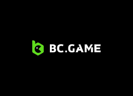 Comprehensive Review of BC Game Brand