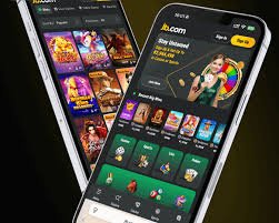 Everything You Need To Know A Comprehensive Guide -873048464